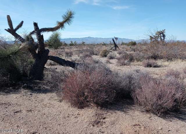 Property at Parcel 439 S Tom Mix Rd, Yucca, AZ 86438