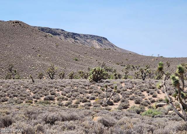 Property at 1280 Acres 329-02-018 White Hills Rd, White Hills, AZ 86445