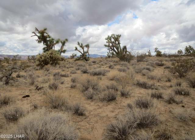 Property at 11844 S Desert View Rd, Yucca, AZ 86438
