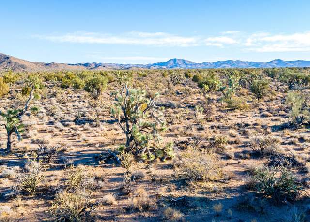 Property at 0 Bonanza Rd, Yucca, AZ 86438