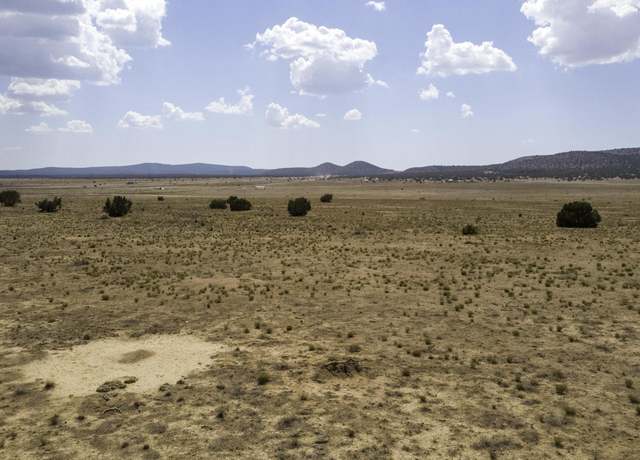 Property at 00 N Arroyo Dr, Seligman, AZ 86337
