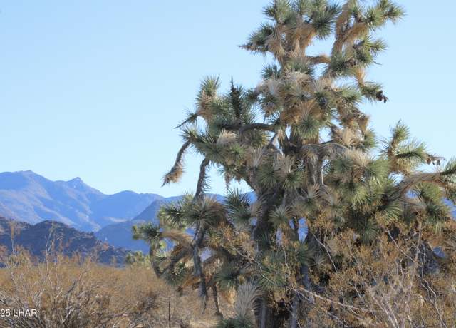 Property at 000 S Raley Rd, Yucca, AZ 86438