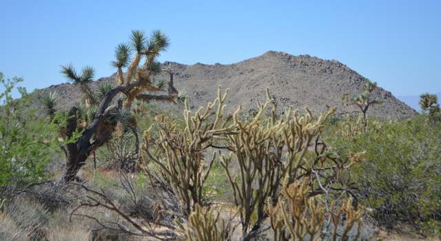 Photo of 11189 S Alvis Rd, Yucca, AZ 86438