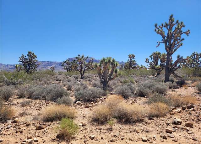 Property at 26776 N Yucca Rd, Meadview, AZ 86444