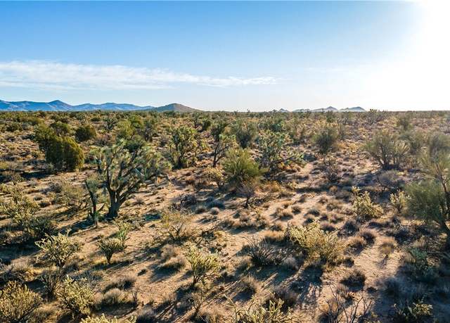 Property at 0 Bonanza Rd #78, Yucca, AZ 86438