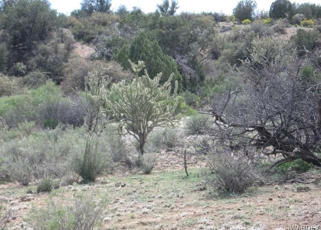 Property at 0 E Lan Dr, Kingman, AZ 86401