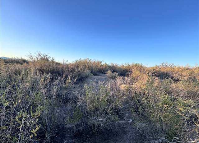 Property at 2885 Mesa Del Oro, Mohave Valley, AZ 86440