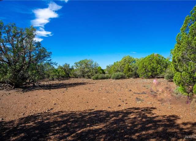 Property at 242 N Kit Fox Trl, Kingman, AZ 86401