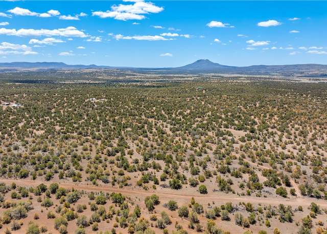 Property at Lot 1356 Dragon Den, Seligman, AZ 86337