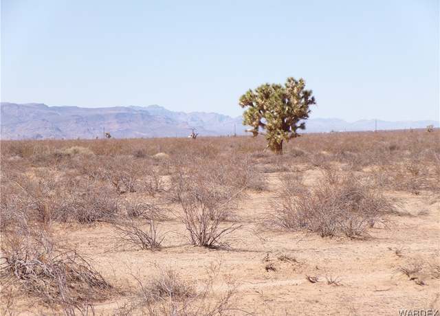 Property at Lot 517 Dale Evans Rd, Yucca, AZ 86438