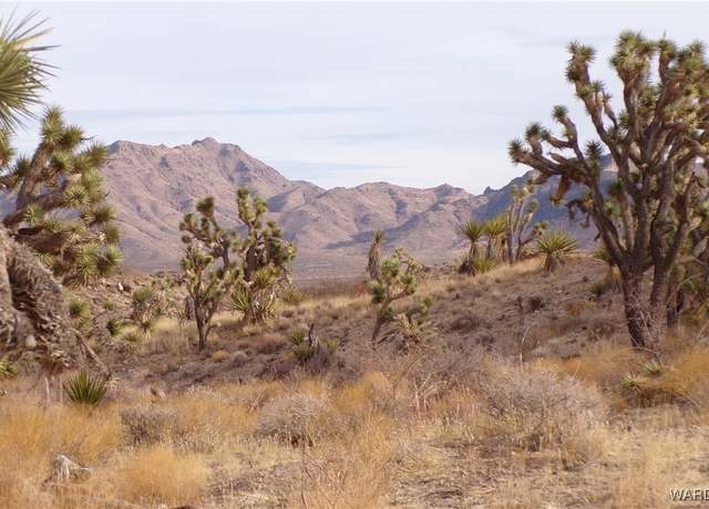 Property at Lot 72 W 20th St, Dolan Springs, AZ 86441