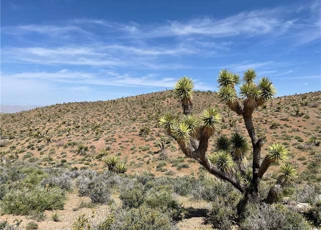 Property at 0 N Salt Springs Rd, White Hills, AZ 86445