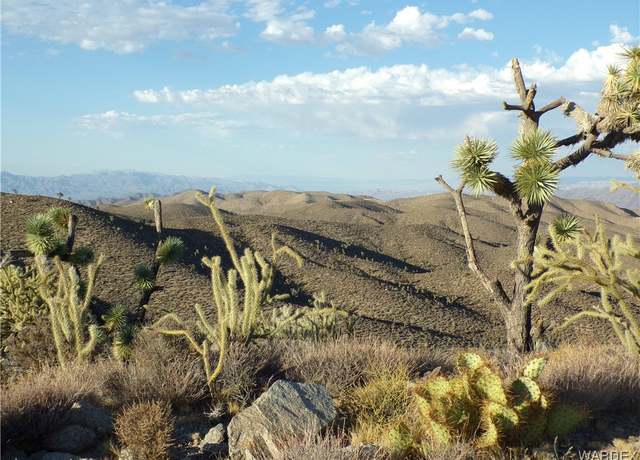 Property at 337-10-127 Tbd, White Hills, AZ 86445