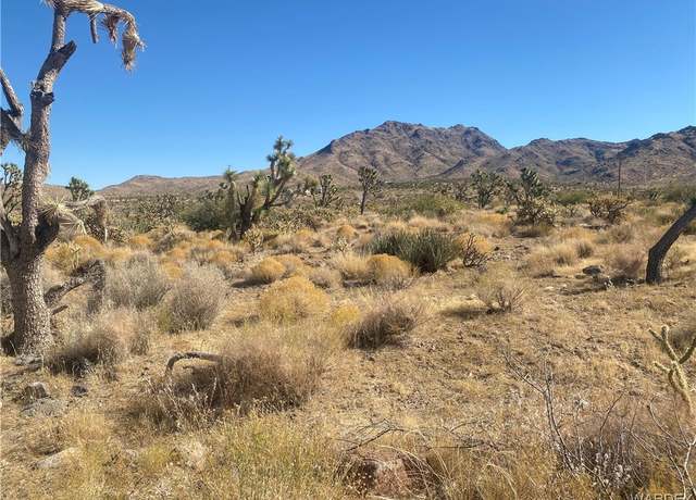 Property at 000 Palm Dr, Dolan Springs, AZ 86441