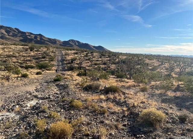 Property at 328-04-424 N Mariposa Dr, Dolan Springs, AZ 86441