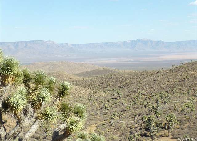Property at 337-10-128 Tbd, White Hills, AZ 86445