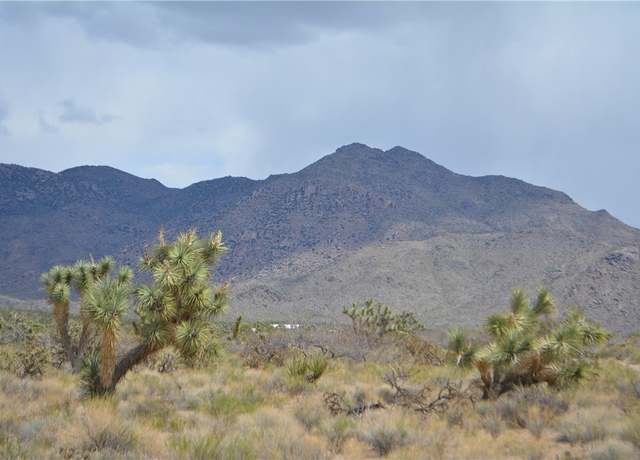 Property at Y7 Holiday Rd, Yucca, AZ 86438