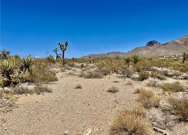 Property at 319-13-344 Lakeside Dr, Dolan Springs, AZ 86441