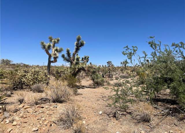 Property at 319-13-351 Lakeside Dr, Dolan Springs, AZ 86441