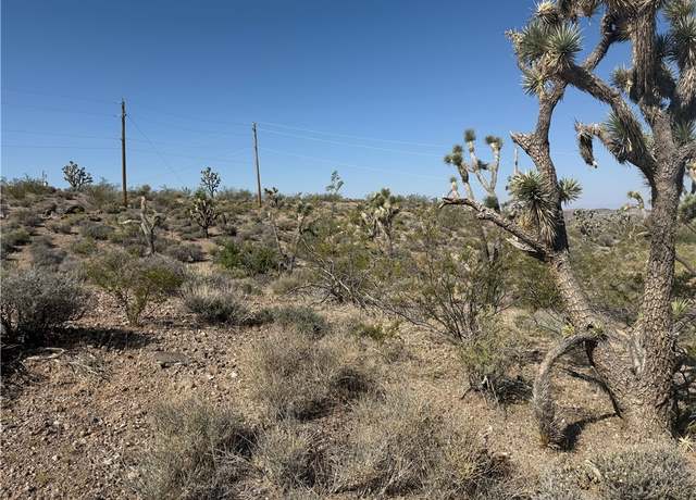 Property at 8124 Rio Vista Dr, White Hills, AZ 86445