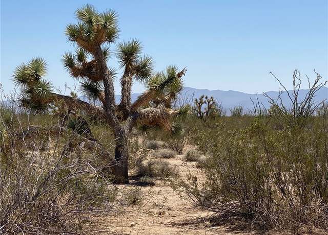 Property at #812 Stagecoach Trl #812, Yucca, AZ 86438