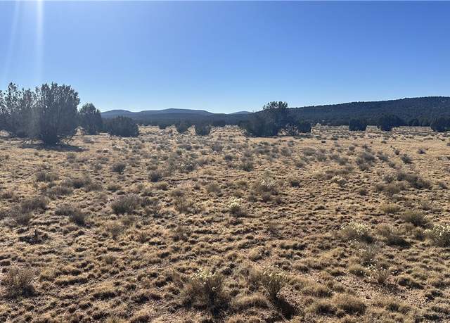 Property at 1377 W Sunset Dr, Seligman, AZ 86337