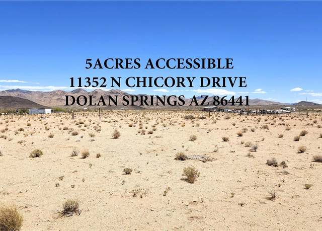 Property at 11352 N Chicory Dr, Dolan Springs, AZ 86441