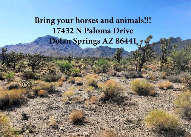 Property at 17432 N Paloma Dr, Dolan Springs, AZ 86441