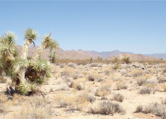 Property at 11814 Dateland Rd, Yucca, AZ 86438