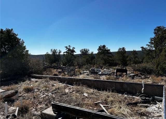 Property at LOT 010 Skunk Hill Trl, Peach Springs, AZ 86434