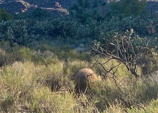 Property at 11751 S Carrow Rd, Yucca, AZ 86438