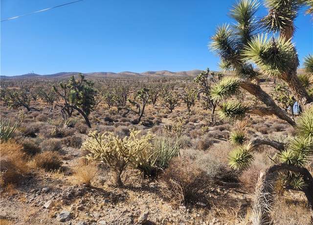 Property at 0000 N Tamarisk & Rainbow, Meadview, AZ 86444