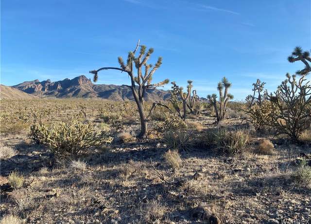 Property at 328-03-449 North Dr, Dolan Springs, AZ 86441