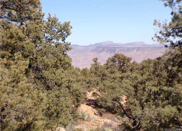 Property at Lot 170 Trap Spgs, Hackberry, AZ 86411