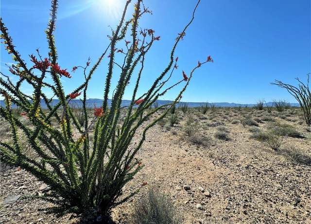 Property at TBD Juniper Dr, Yucca, AZ 86438