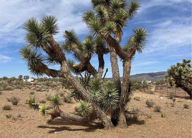Property at 327-02-131 Sunflower Dr, Dolan Springs, AZ 86441