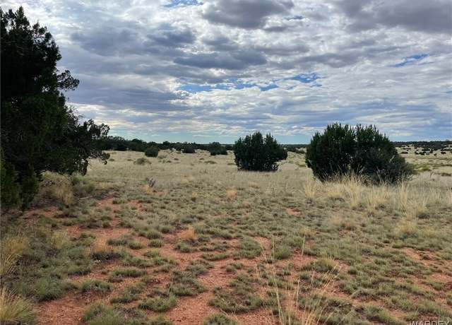 Property at 41665 W Antelope Run Rd, Seligman, AZ 86337