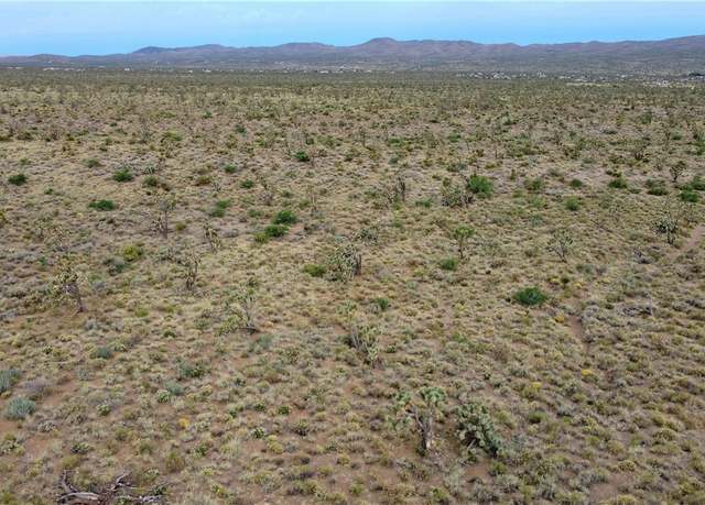 Property at Lot 175 N Quaint Dr, Dolan Springs, AZ 86441