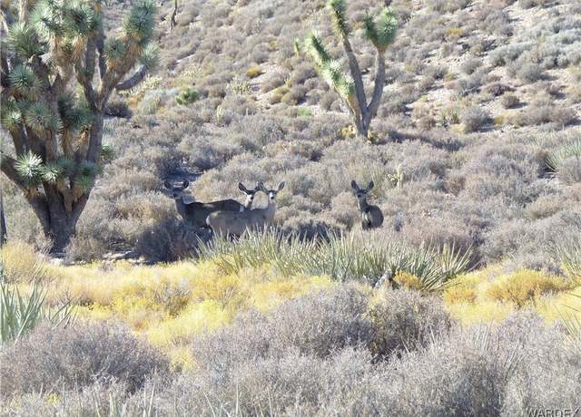 Property at 0000 Tbd, White Hills, AZ 86445