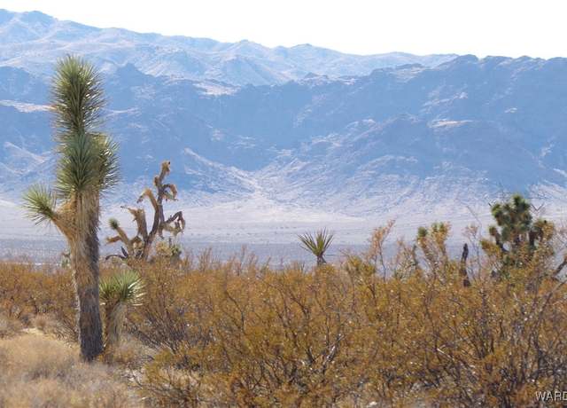Property at 19112 N Pony Rd, White Hills, AZ 86445