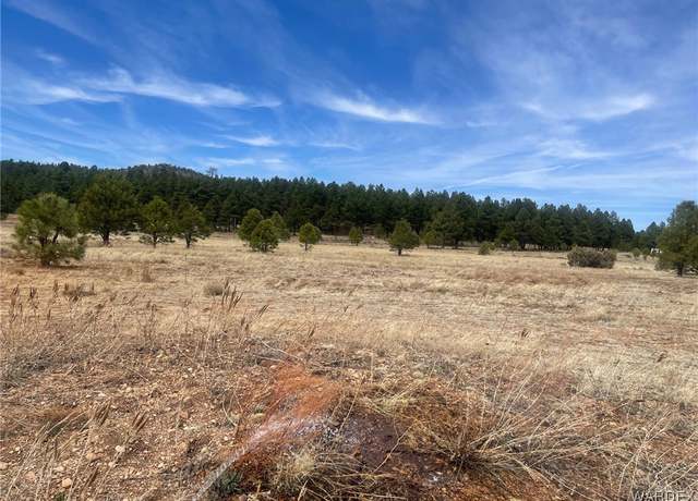 Property at 603 N Cool Pines Rd, Williams, AZ 86046