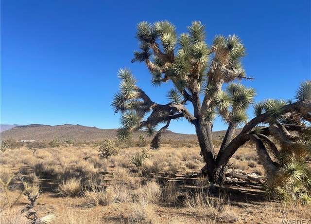 Property at 000 Telegraph Dr, Dolan Springs, AZ 86441