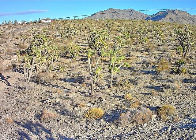 Property at 17096 N Manor Dr, Dolan Springs, AZ 86441