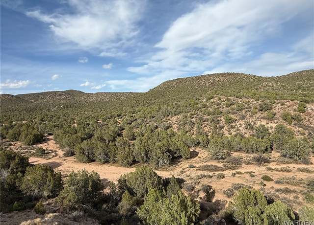 Property at Lot 167 E Globe Willow Dr, Kingman, AZ 86401