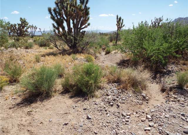 Property at 0000 N Laurel, Dolan Springs, AZ 86441