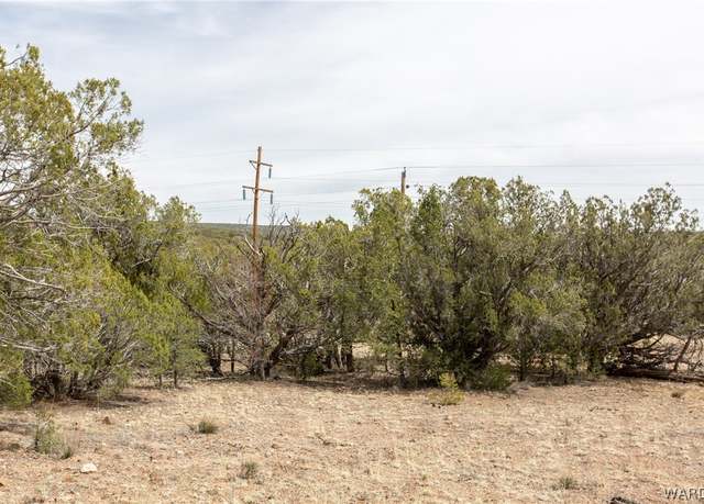 Property at 0 High Mtn, Peach Springs, AZ 86434