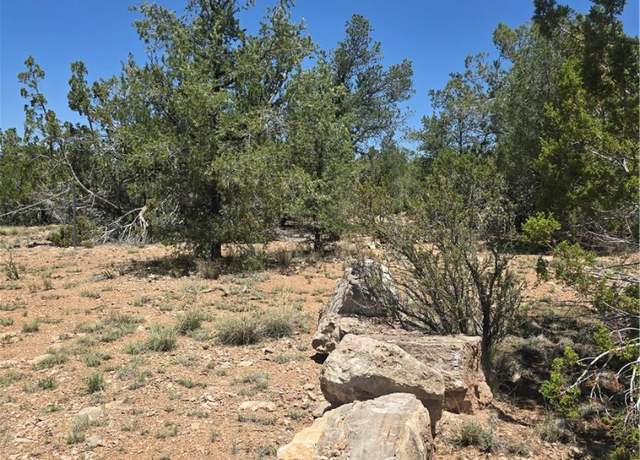 Property at 32220 W Conejo Rd, Seligman, AZ 86337