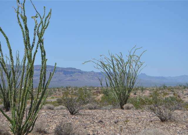 Property at 3007 S Alamo Rd, Yucca, AZ 86438