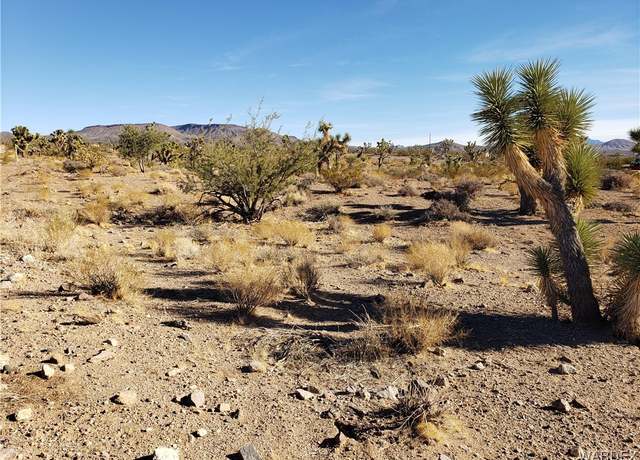 Property at 20576 N Golden Arrow Ave, White Hills, AZ 86445