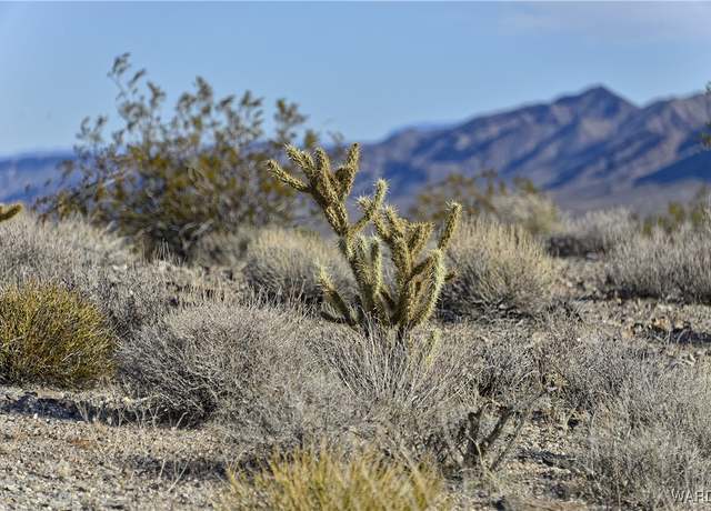 Property at 6 lots Thunder Rapids Dr, Meadview, AZ 86444